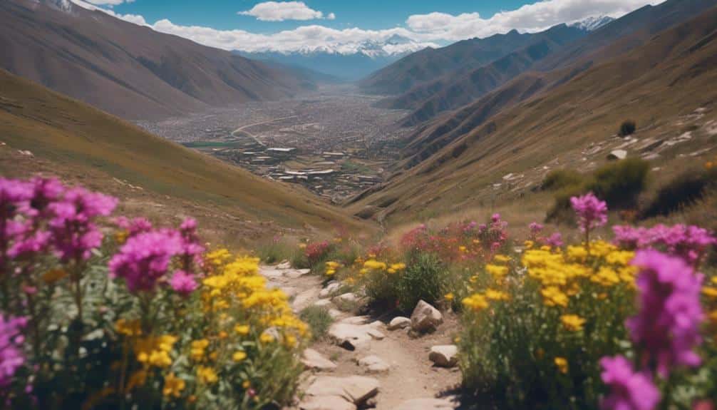 inca ruins mountain views